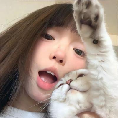 米佐的复仇